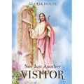 Not Just Another Visitor