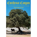 Cutthroat Canyon: The White Angel Survives In Virginia City, Nevada