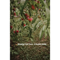 Growing Fruit Trees: A Garden Guide