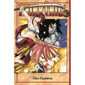 Fairy Tail 47