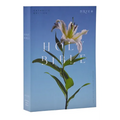 NRSV Catholic Edition Bible, Easter Lily Paperback (Global Cover Series): Holy Bible