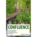 Confluence: Tools for Thinking about How Organized Plans and Self-organized Patterns Flow Together