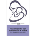 Pregnancy and New Motherhood in Prison