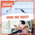 What Are Taxes?