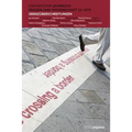 Osnabrucker Jahrbuch Frieden Und Wissenschaft XXII / 2015: Grenzuberschreitungen