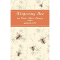 Wintering Bees in Four-Hive Boxes