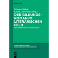 Der Bildungsroman im literarischen Feld
