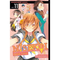 Nisekoi: False Love, Vol. 11
