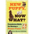 New Puppy, Now What? Foundation Skills for Raising a Happy Puppy
