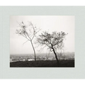 Robert Adams: Los Angeles Spring