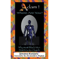 Adam! Where Are You?: Why Most Black Men Don't Go to Church