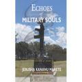 Echoes of Military Souls: a collection of poems