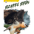 Bizarre Birds