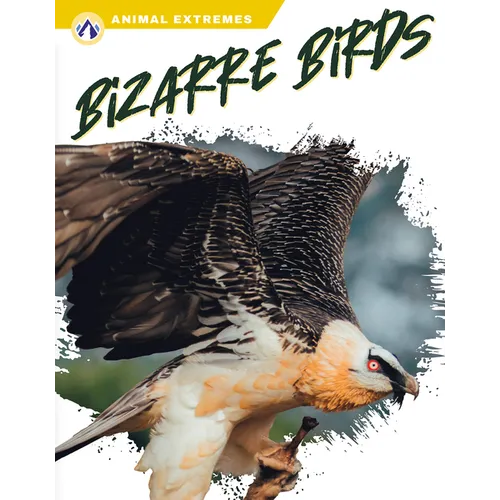 Bizarre Birds