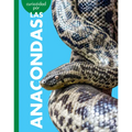 Curiosidad Por Las Anacondas