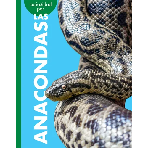 Curiosidad Por Las Anacondas