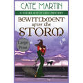 Bewitchment After the Storm: A Viking Witch Cozy Mystery