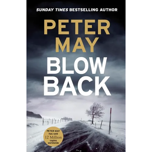 Blowback: The Exciting Penultimate Case in the Addictive Crime Series (the Enzo Files Book 5)