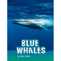 Blue Whales