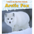 Arctic Fox