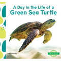Day in the Life of a Green Sea Turtle