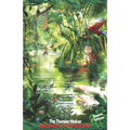 The Thunder Maker: Adventure in the Amazon