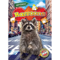 Raccoons