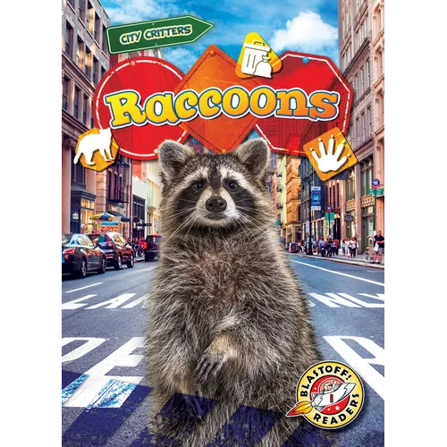 Raccoons