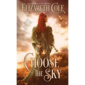 Choose the Sky: A Medieval Romance