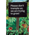 Please don't trample us; we are trying to grow