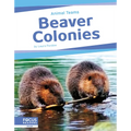 Beaver Colonies