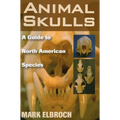 Animal Skulls