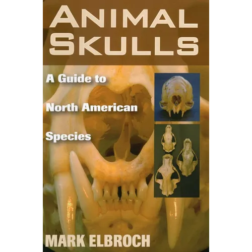Animal Skulls
