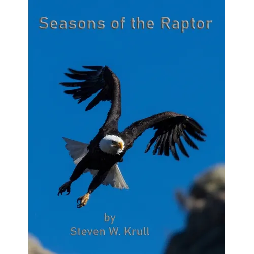 Seasons of the Raptor: One Year Photographing Colorado's Raptors