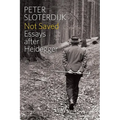 Not Saved: Essays After Heidegger