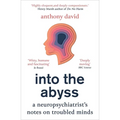 Into the Abyss: A Neuropsychiatrist's Notes on Troubled Minds
