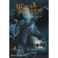 The Black Stallion Mystery