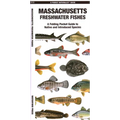 Massachusetts Freshwater Fishes