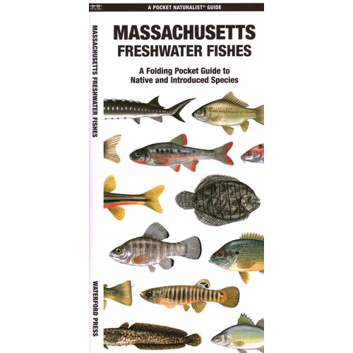 Massachusetts Freshwater Fishes