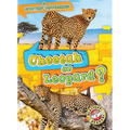 Cheetah or Leopard?