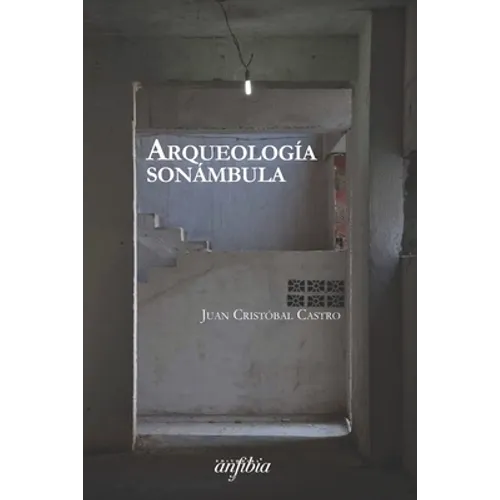 Arqueología sonámbula