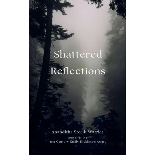 Shattered Reflections