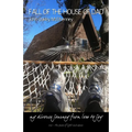 Fall of the House of Dad: My journey through divorce, from loss to joy, again and again