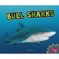 Bull Sharks