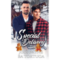 Special Delivery: A Wrecked Holiday Novel