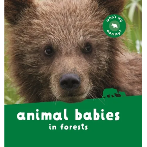 Animal Babies in Forests
