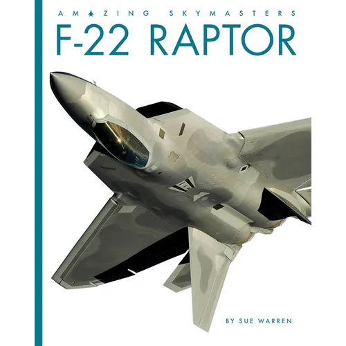F-22 Raptor