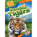 Bengal Tigers