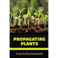 Propagating Plants: Guide To Plant Propagation: Plant Propagation Methods