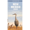 New Mexico Birds: A Folding Pocket Guide to Familiar Species